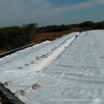 Short-filament geotextile non-woven geotextile is used for the maintenance of the sports hall dam
